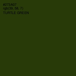#273A07 - Turtle Green Color Image